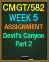 CMGT/582 WEEK 4 DEVIL'S CANYON PART 2